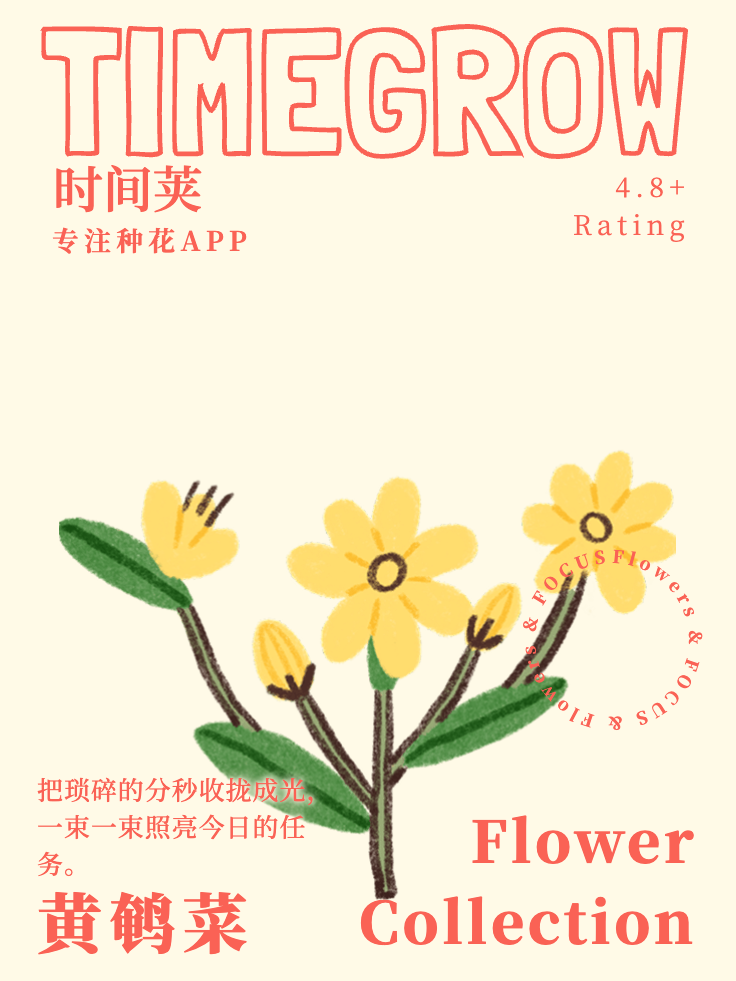 时间荚植物图鉴 - 向日葵
