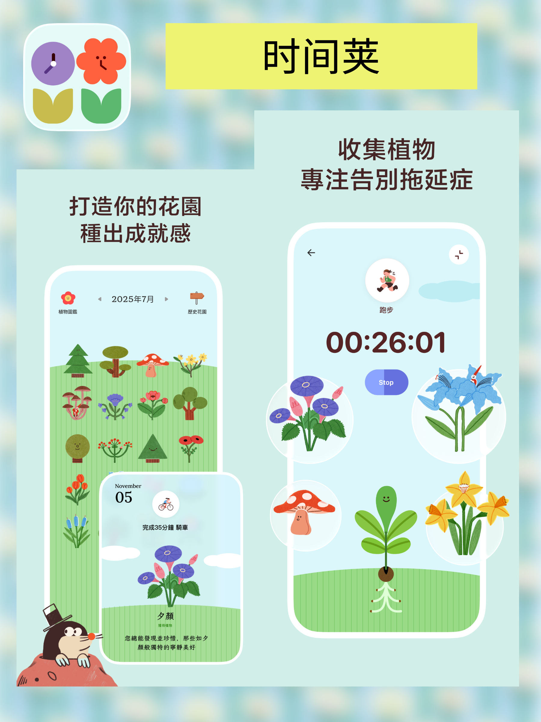 时间荚主卡展示