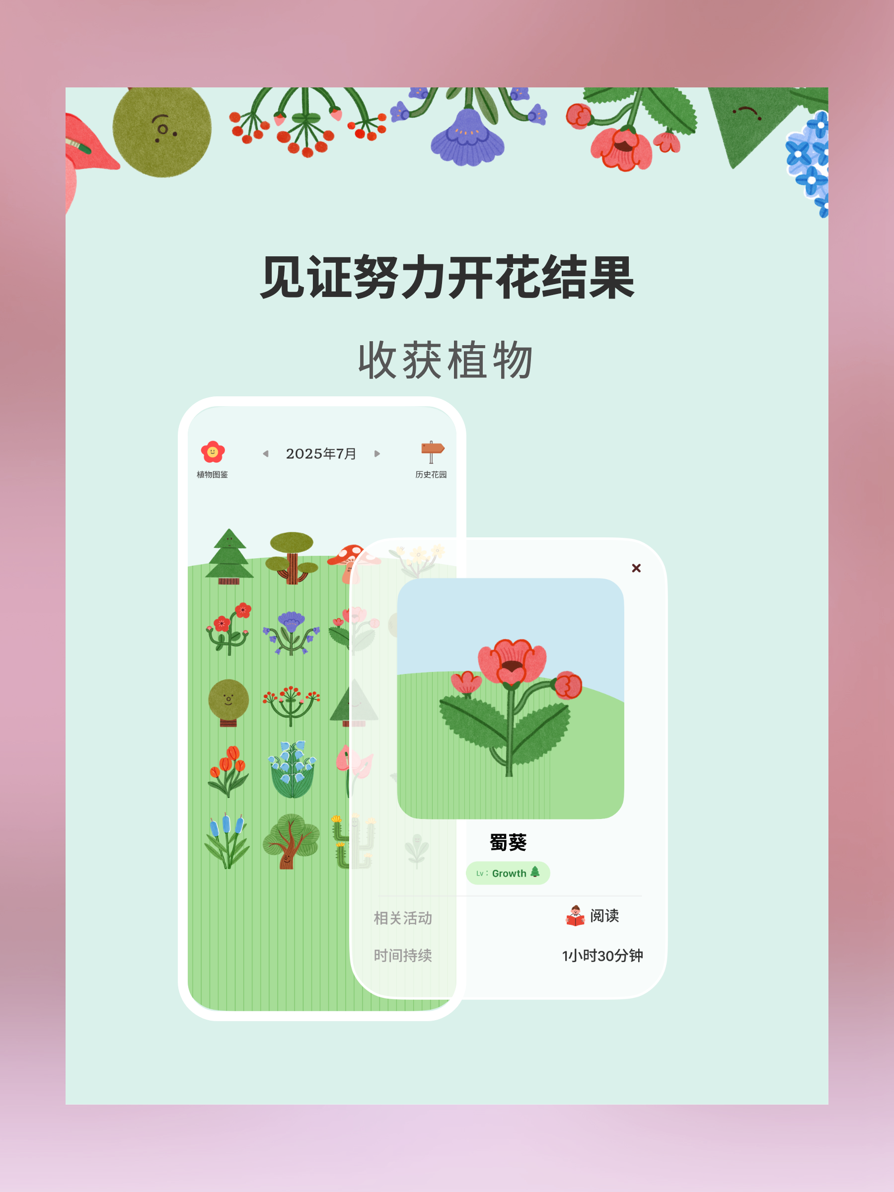 见证努力开花结果 - 收获植物